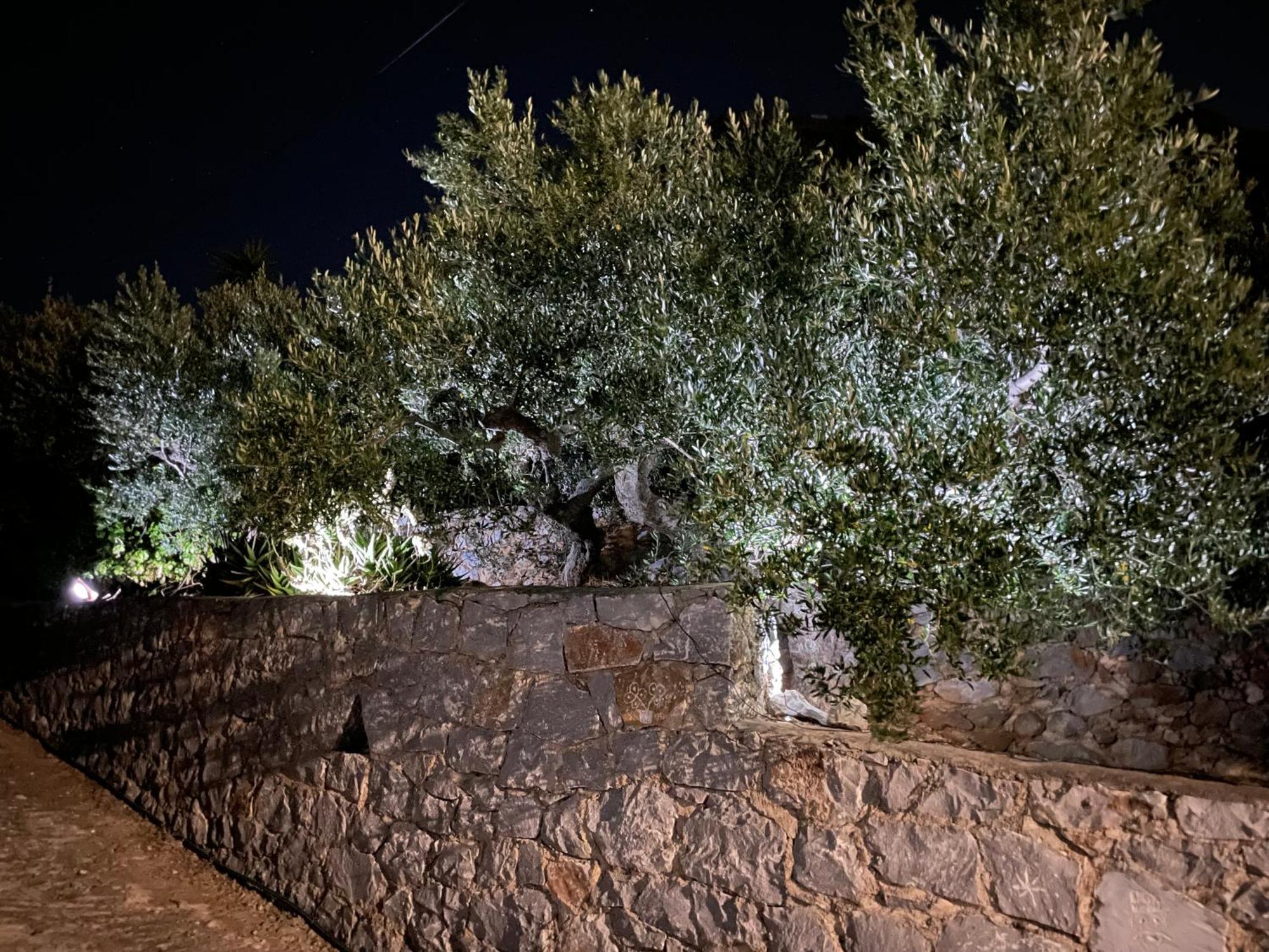 Πύργος Παραδοσιακός Με Μαγευτική Θέα - Villa Traditional Tower With Amazing Sea View Areopoli Eksteriør billede
